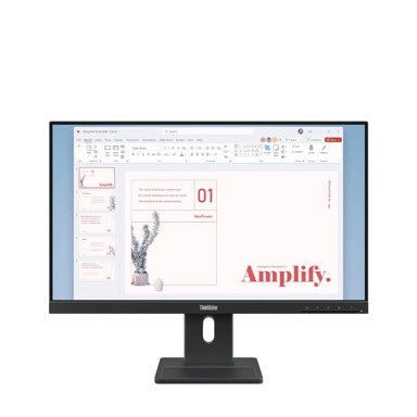 LENOVO Monitor ThinkVision E24-40, 23.8", FHD, LED, 60 Hz, crni